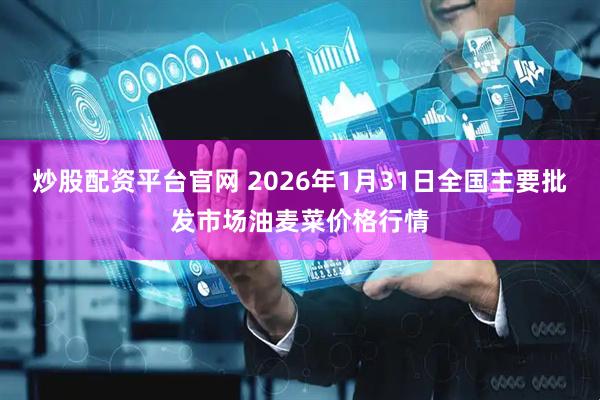 炒股配资平台官网 2026年1月31日全国主要批发市场油麦菜价格行情