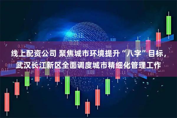 线上配资公司 聚焦城市环境提升“八字”目标,武汉长江新区全面调度城市精细化管理工作
